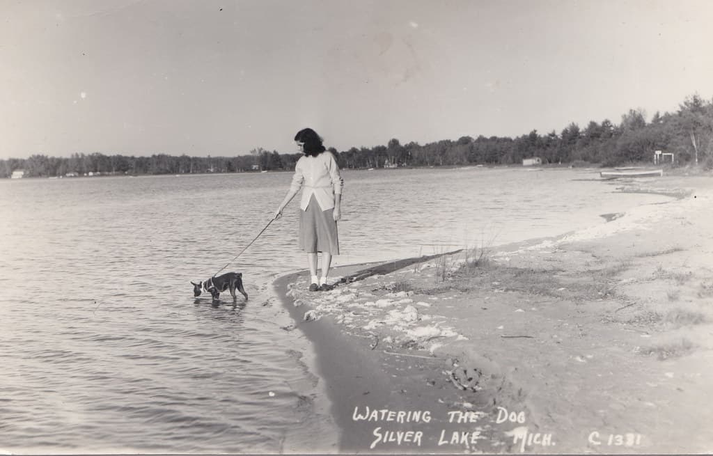 Silver Lake Beach view 3