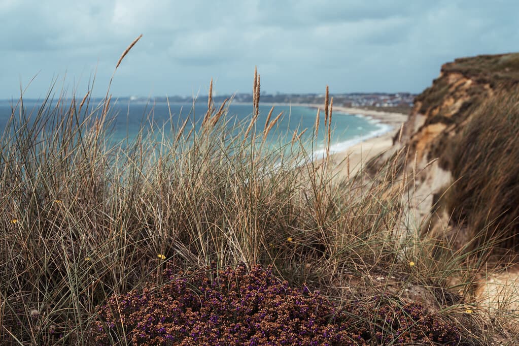 Boscombe Beach