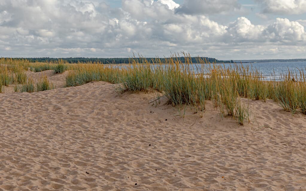 Yyteri Hidden Dunes Cove — photo by Ninara