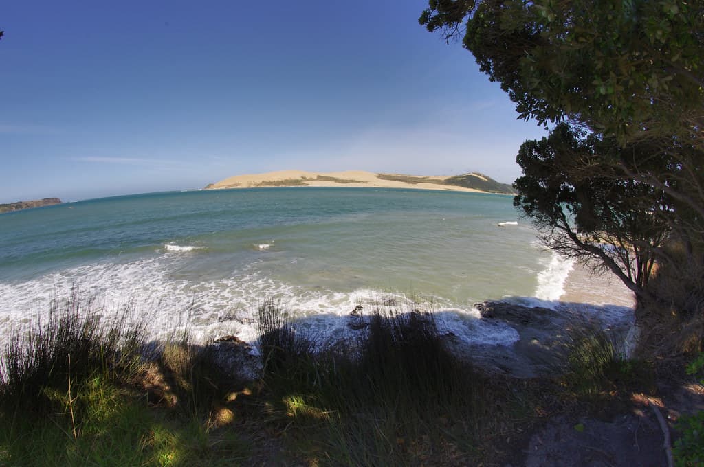 Waiotemarama Gorge Beach — photo by Juhele_CZ