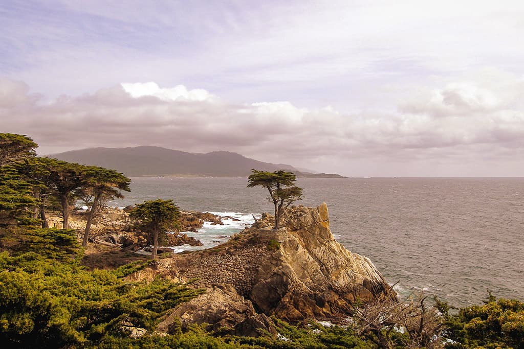 The Lone Cypress. Pebble Beach. Carmel. California. USA. 2008.