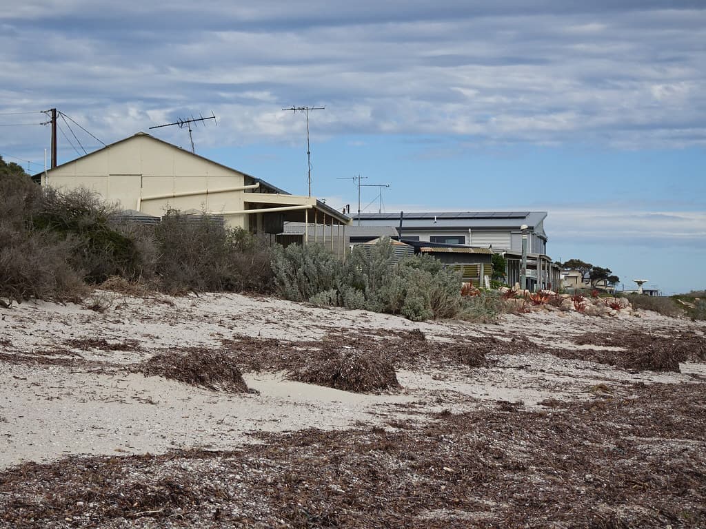 Shacks and Seaweed