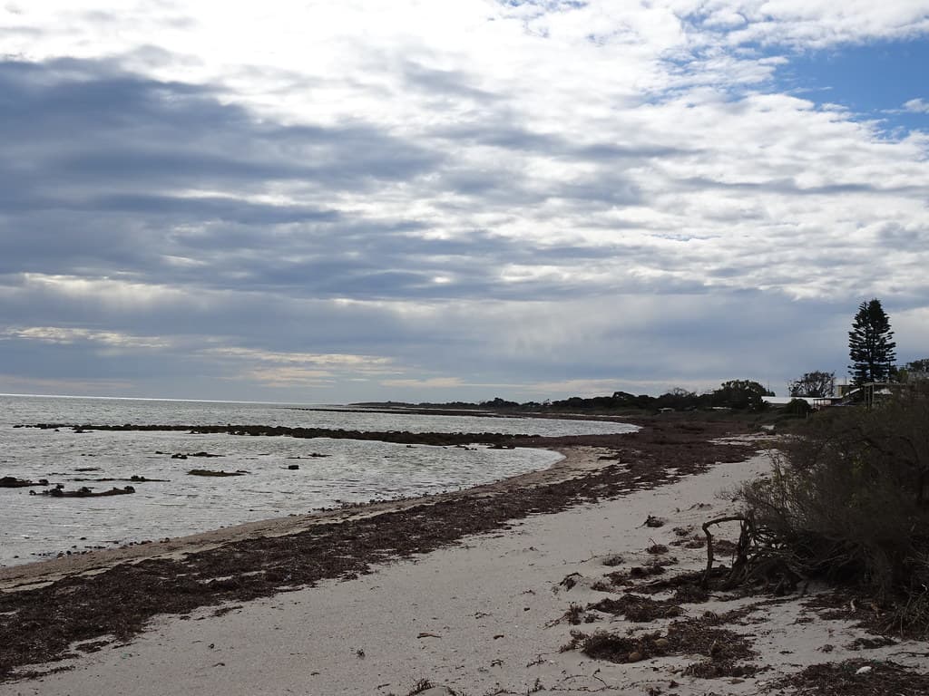 Hardwicke Bay