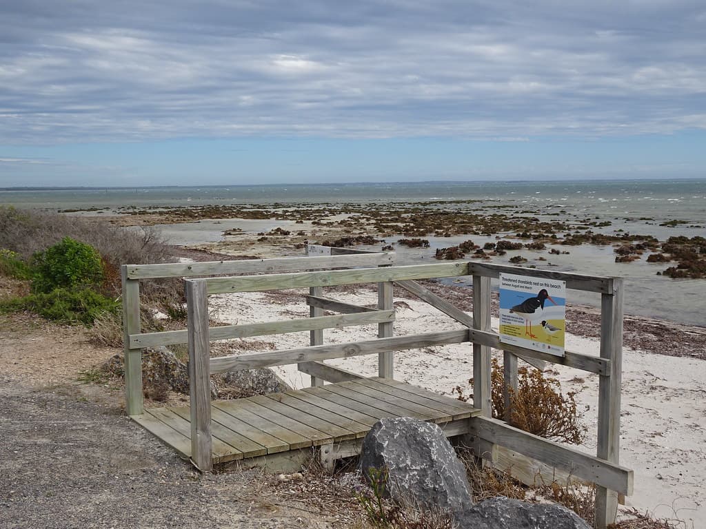 Beach Access - and mind the oyster catchers.