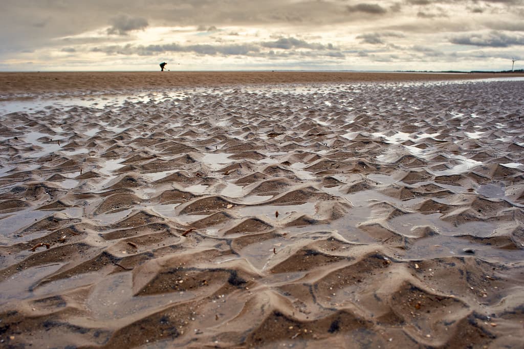 Sand Waves with 'Worm Collector' in the distance