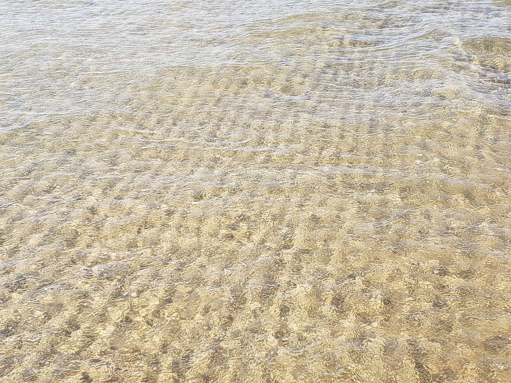 Ringenäs Beach