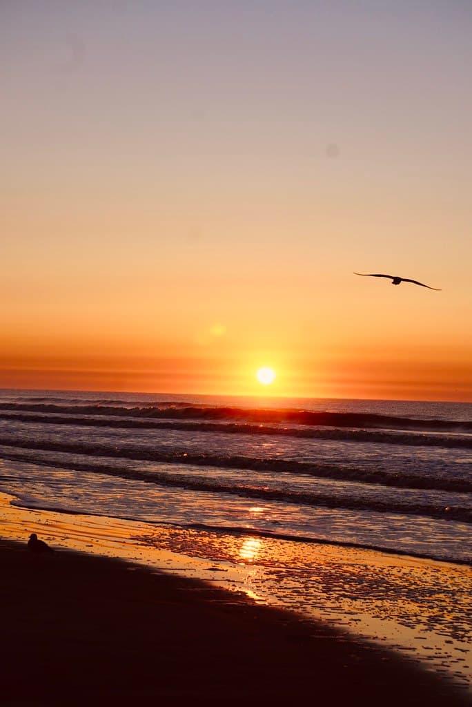 Kiawah Island Beach