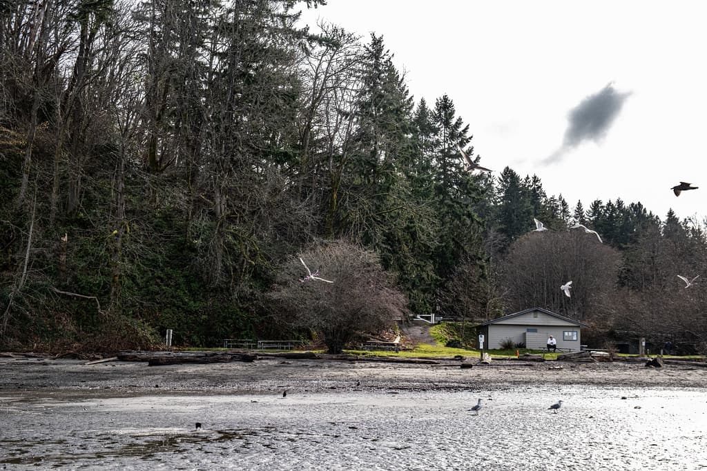 Dash Point State Park Beach