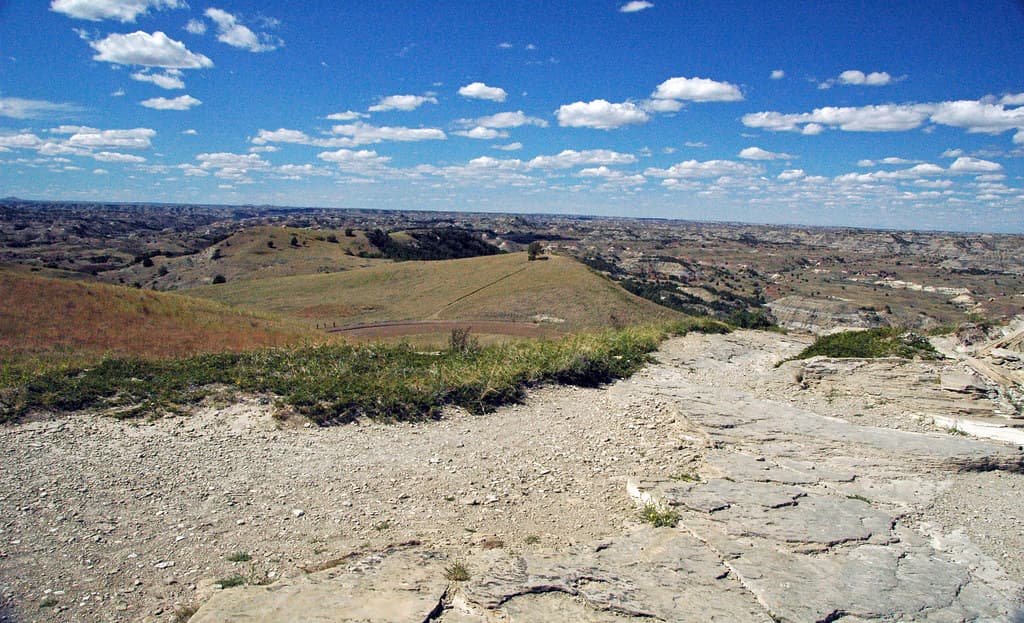 Sandstones (Sentinel Butte Formation, Upper Paleocene; Buck Hill, Little Missouri Badlands, North Dakota, USA) 2