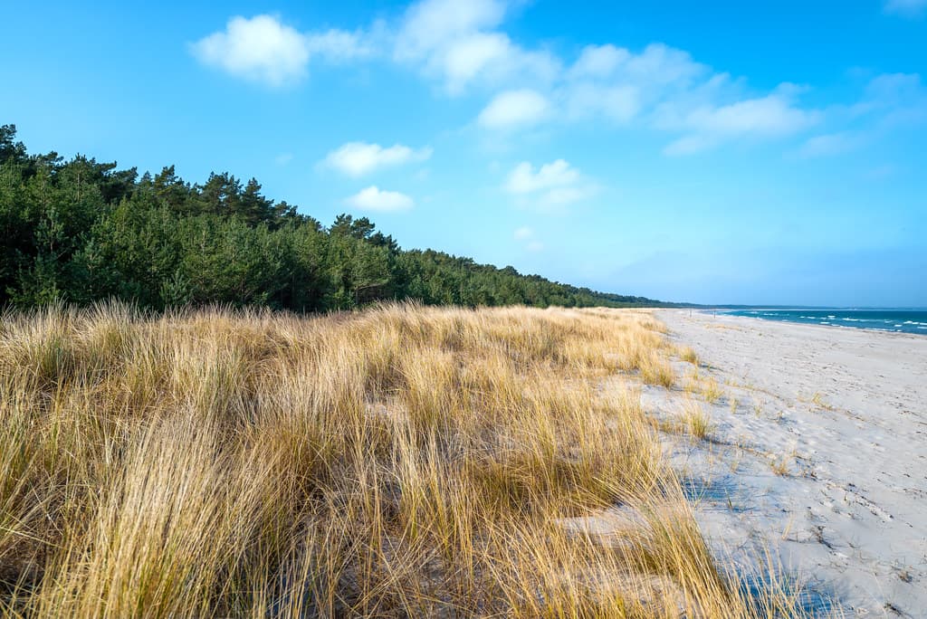 Glowe Beach