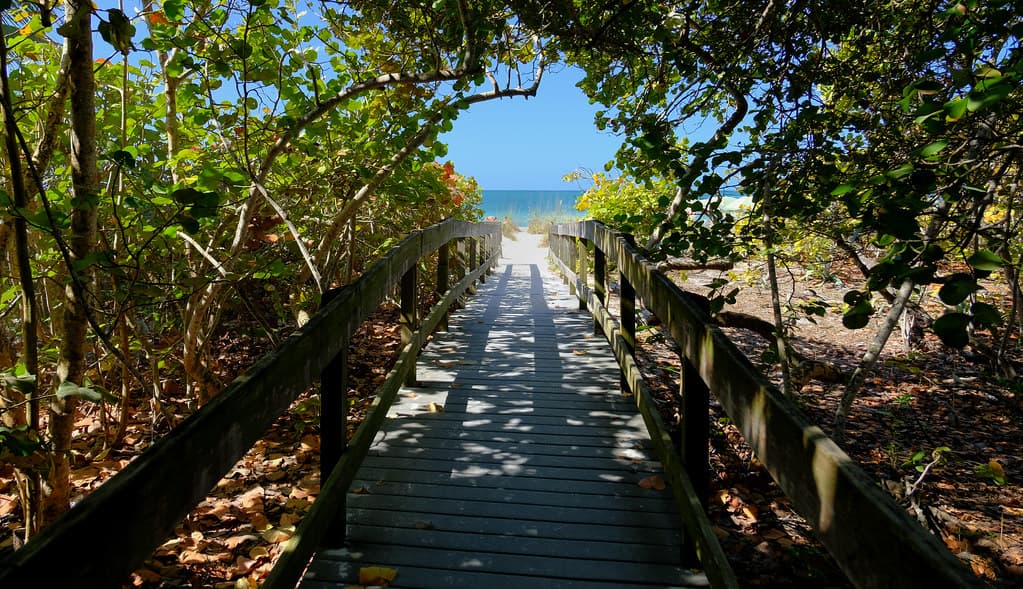 Through the Tunnel to the Beach