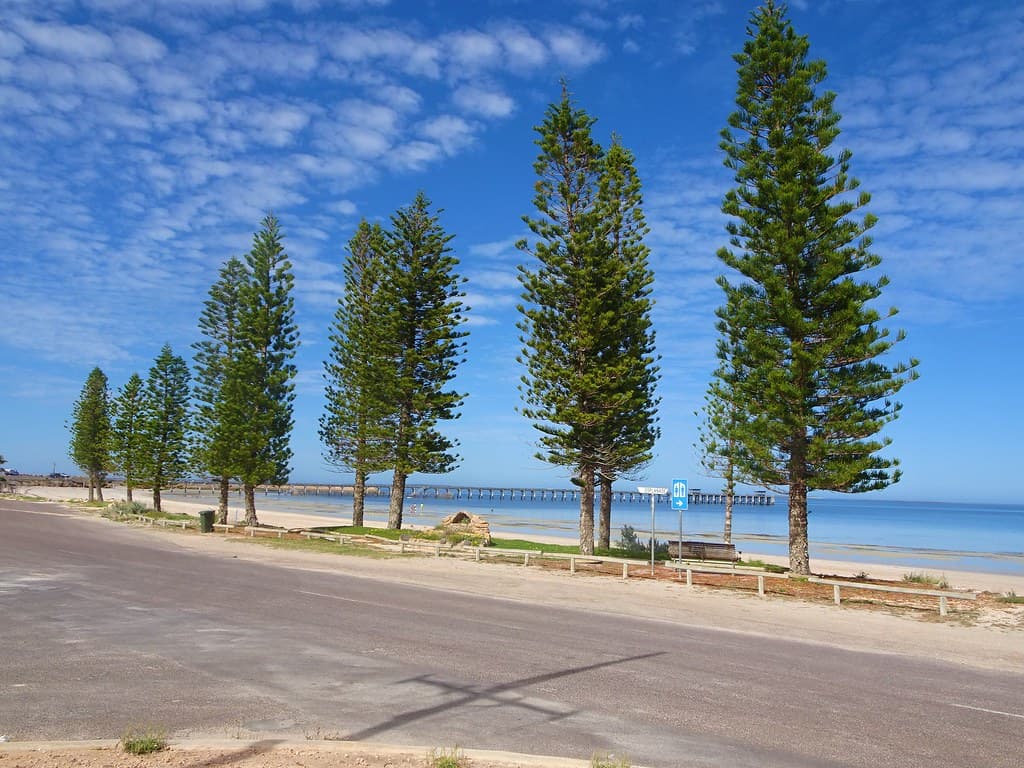 Smoky Bay. Eyre Peninsula. Near Ceduna. Famous for its oysters.