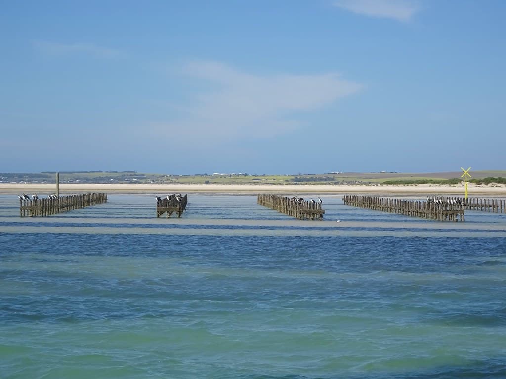 Streaky Bay. Cape Bauer oysters leases.