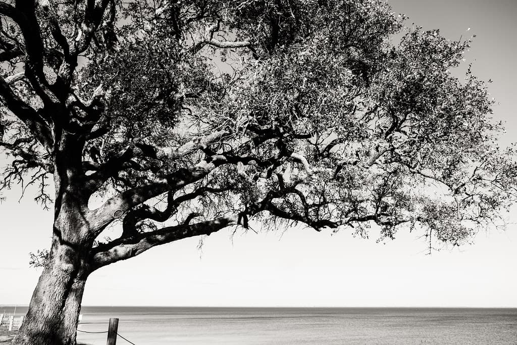 McCollum Park, Beach City, TX 3/22/22