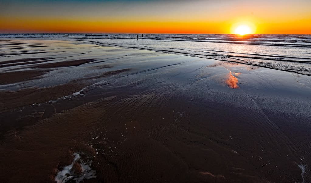 Oceanic sweetness