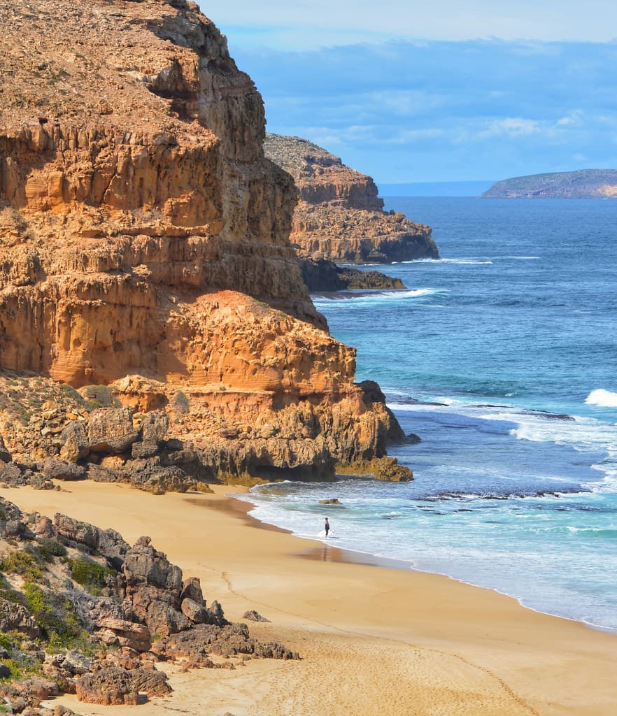 The surfer , Ethel Beach, South Australia