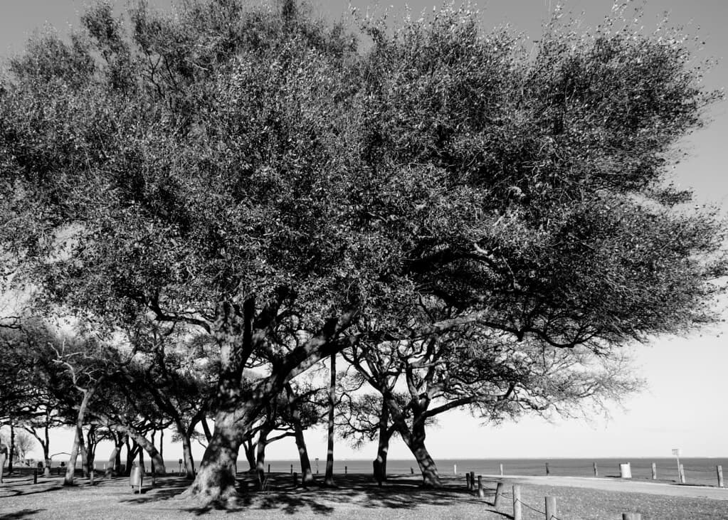 McCollum Park, Beach City, TX 3/22/22