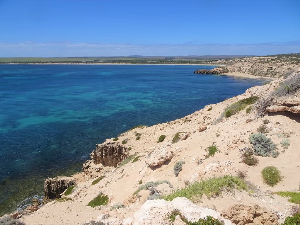 Elliston. Eyre Peninsula. Cliff top lookout across the bay.