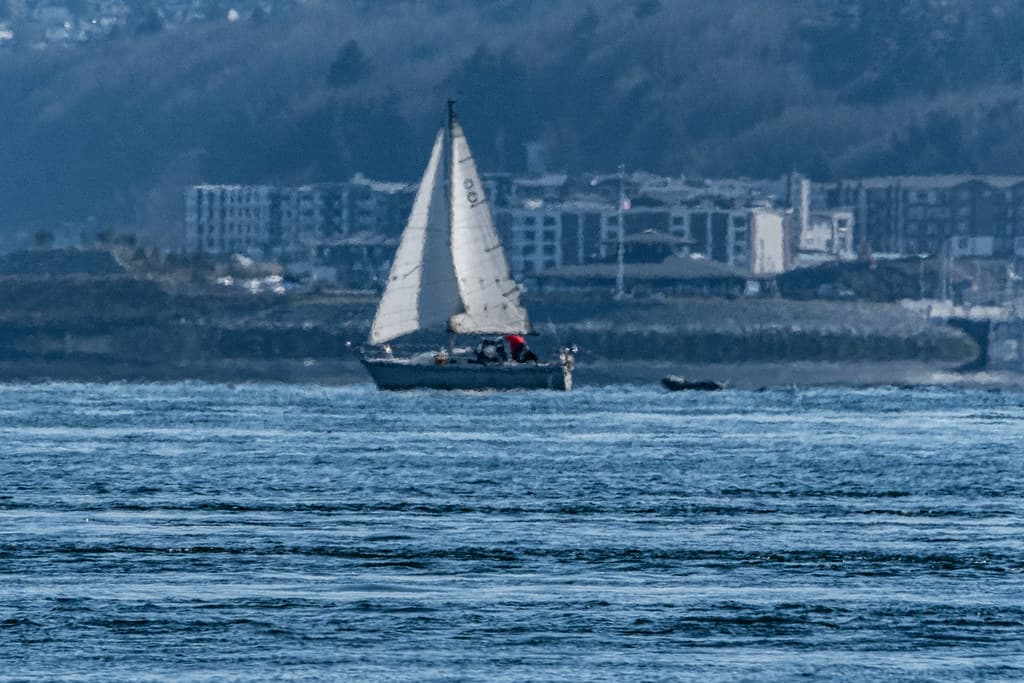 View of Commencement Bay 2022 02 23 12