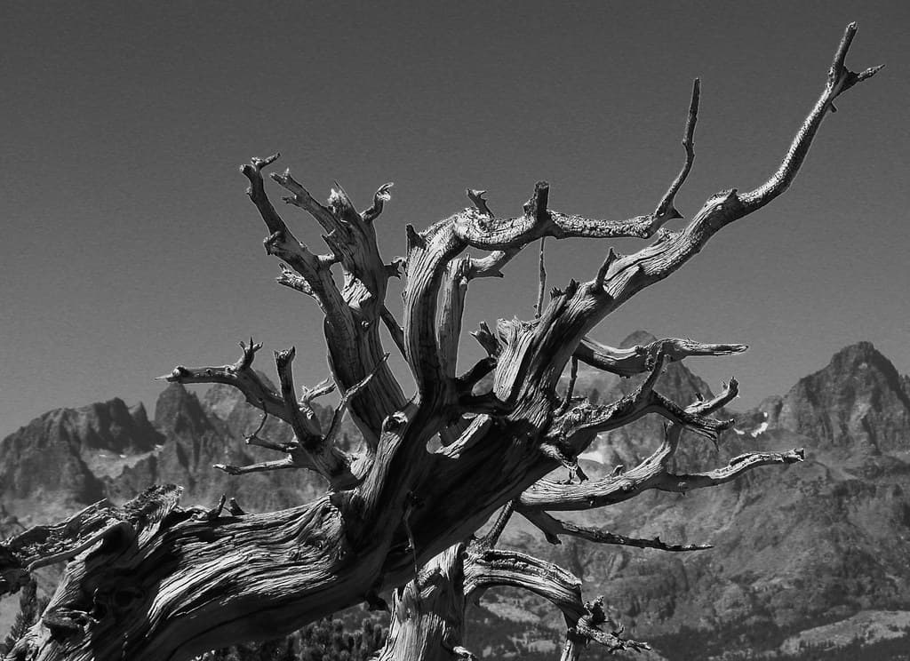BW05202016