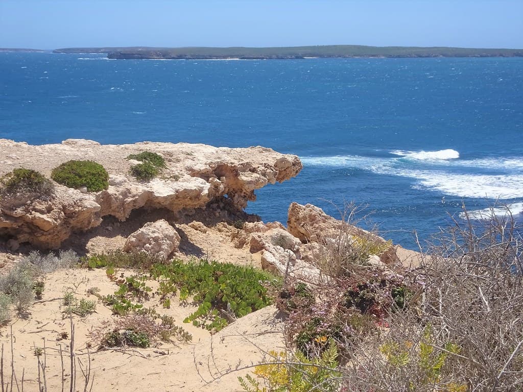 Elliston. Eyre Peninsula. Limestone overhang at the cliff top lookout.