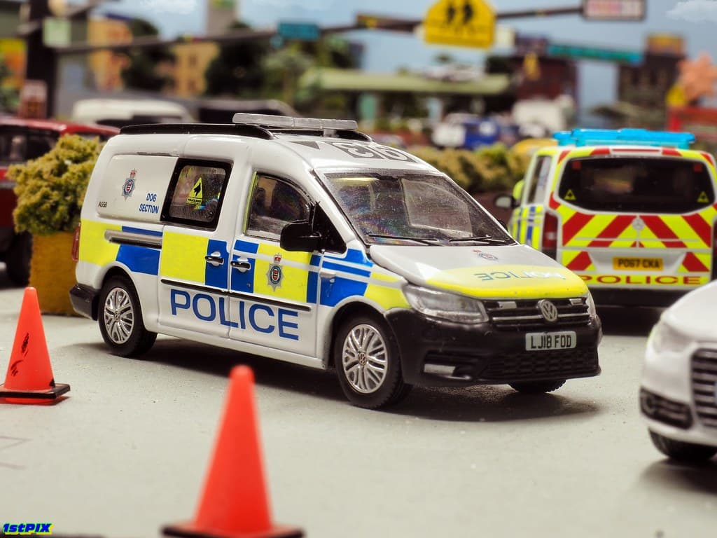 Get Down with the BTP Dog Section