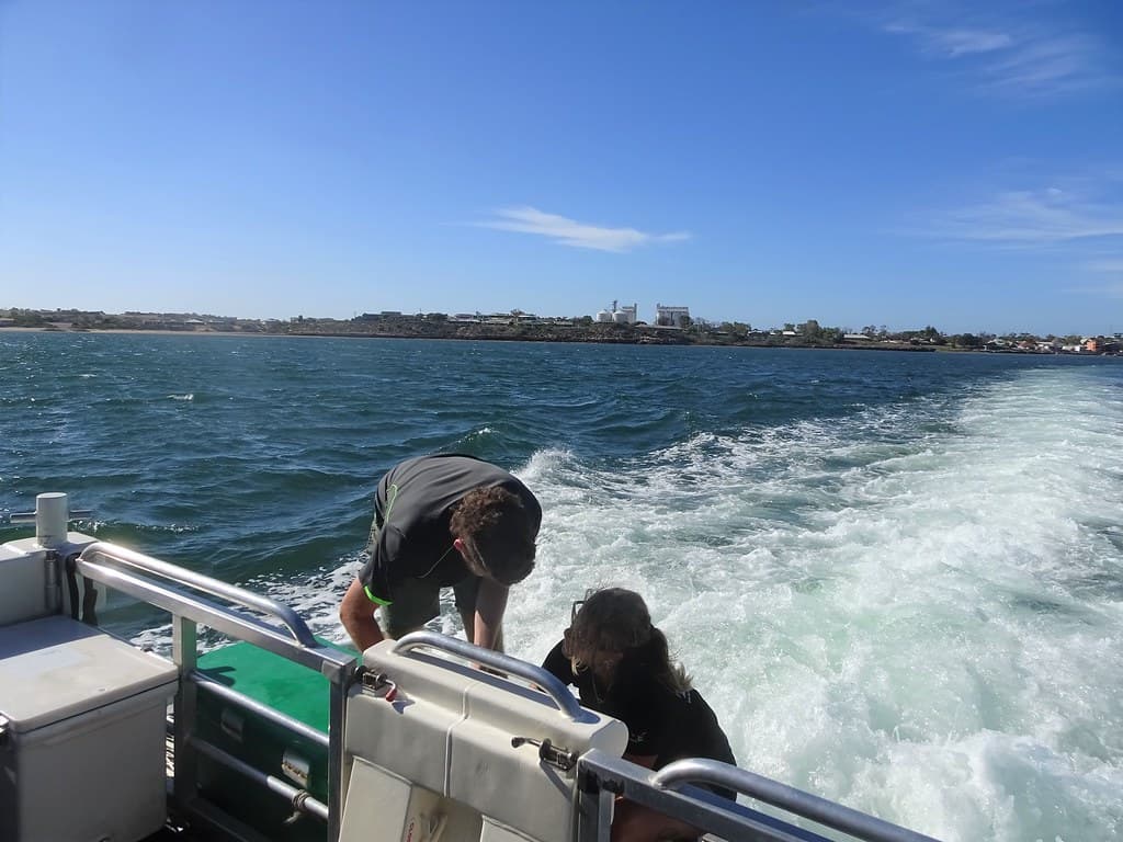 Streaky Bay. Silos by the sea. EP cruises. Staff preparing seafood for a fantastic lunch.