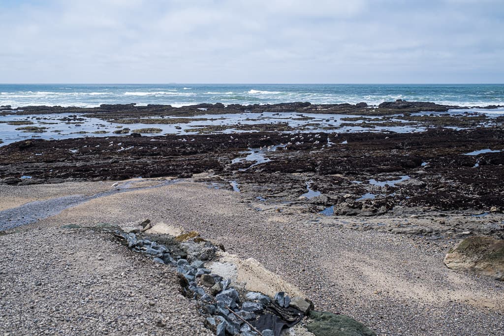 J V Fitzgerald Marine Reserve 4/25/22
