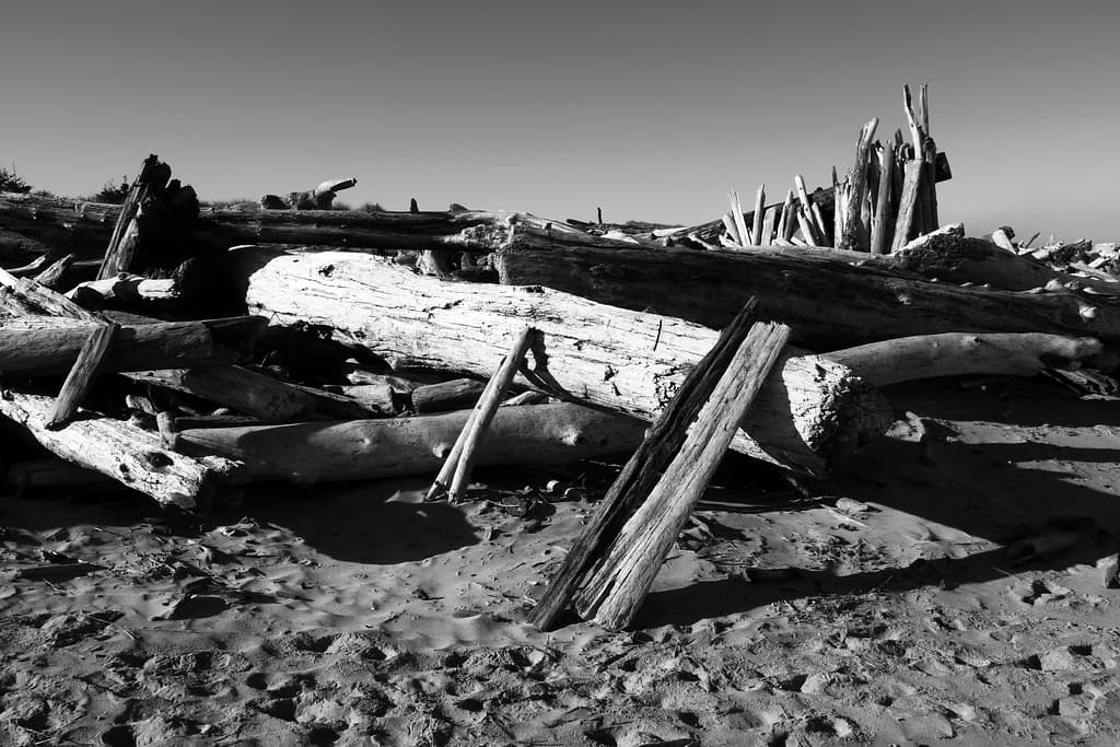 South Jetty Beach (Winchester Bay)