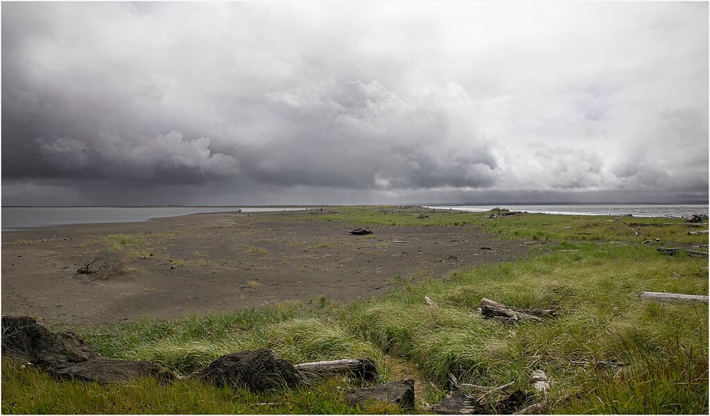Ocean Shores - Damon Point