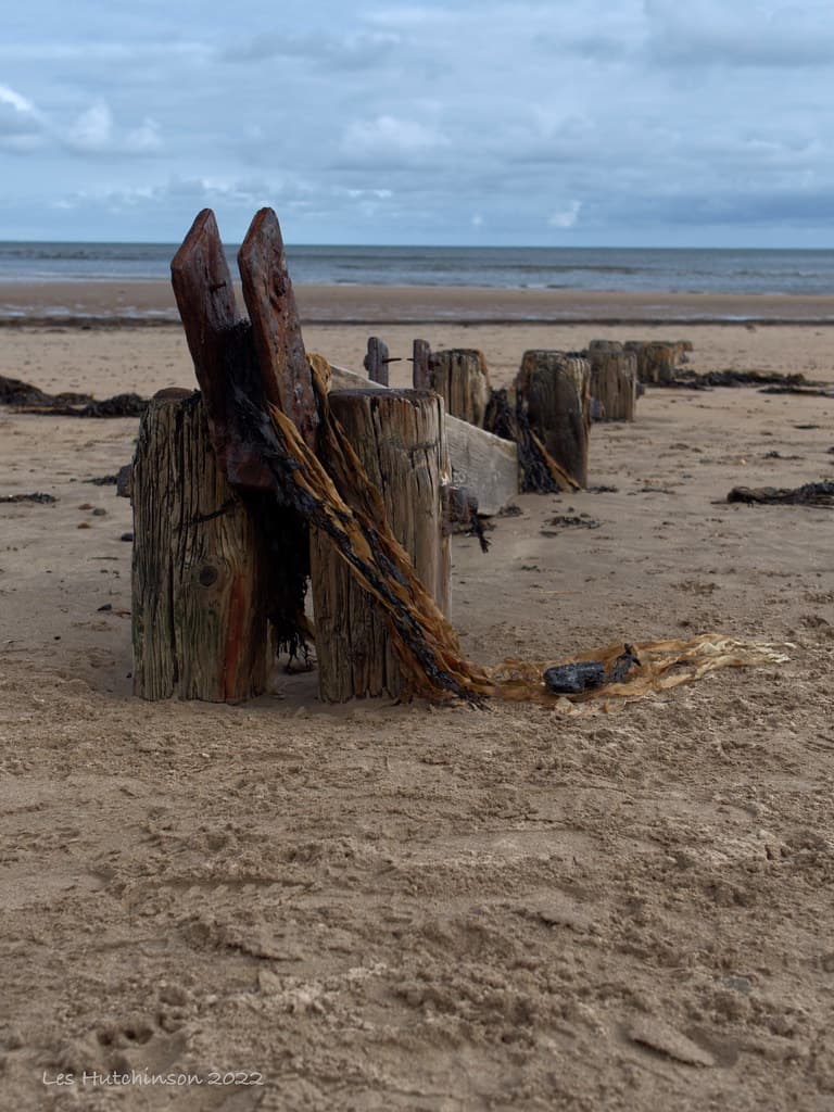 Warkworth Beach