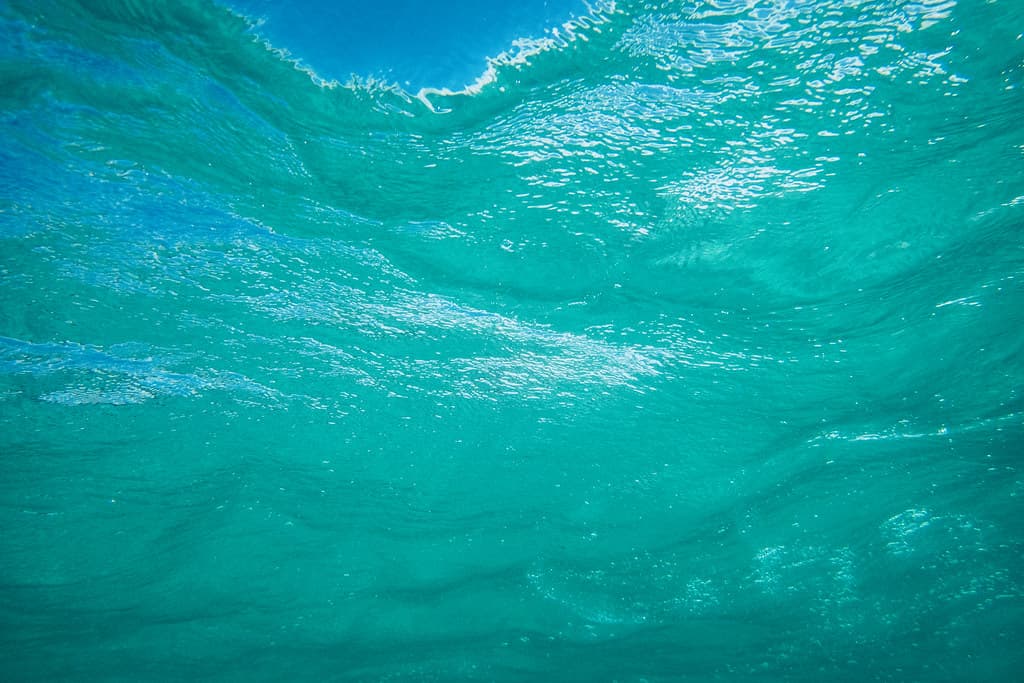 The view from under the wave, Waubs Beach, Bicheno, Tasmania