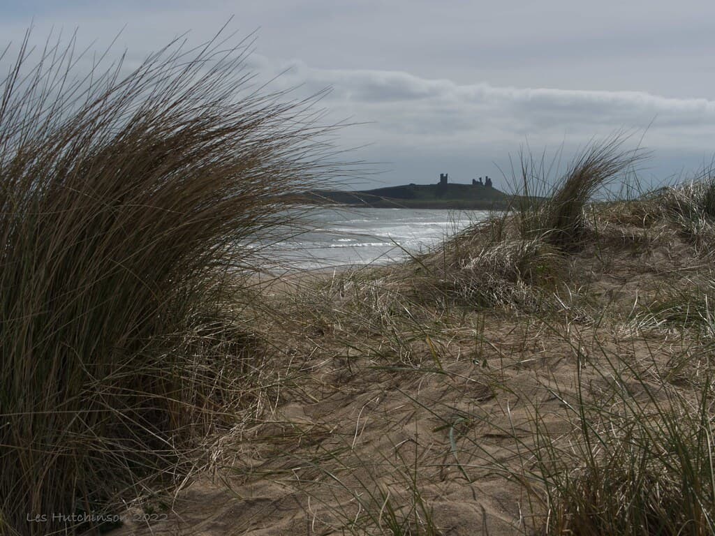 Howick Haven