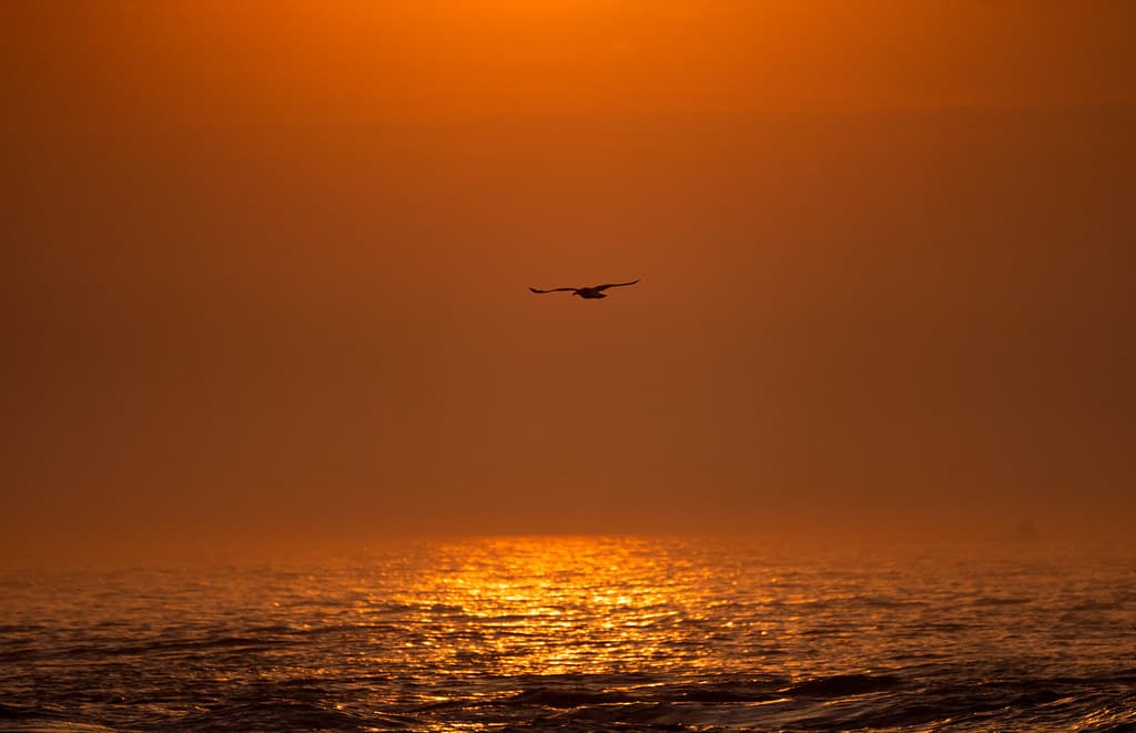 Manasquan Inlet Point Pleasant Beach Jersey Shore Sunrise