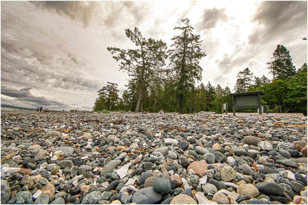 Point Whitehorn Beach