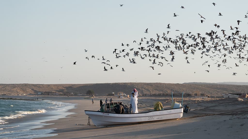 Ras Al Hadd Beach — photo by virtualwayfarer