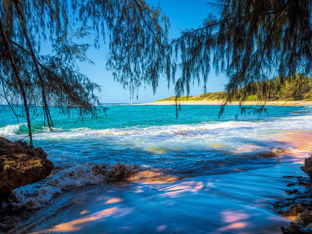 Sit in the Shade, Toes in the Water