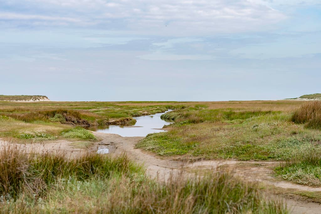 Seawater creek in the "Slufter" (3), island Texel