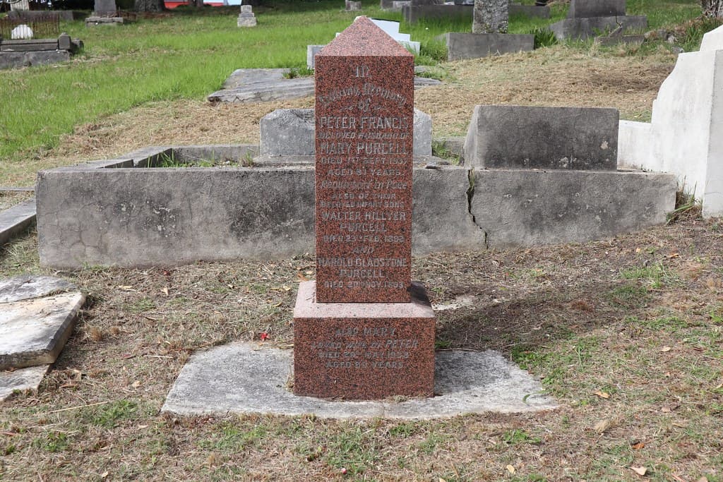 Roman Catholic Division A, Row 5, Plots 2 & 4