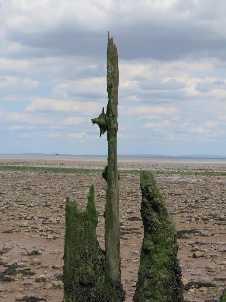 Groynes, Dunster beach