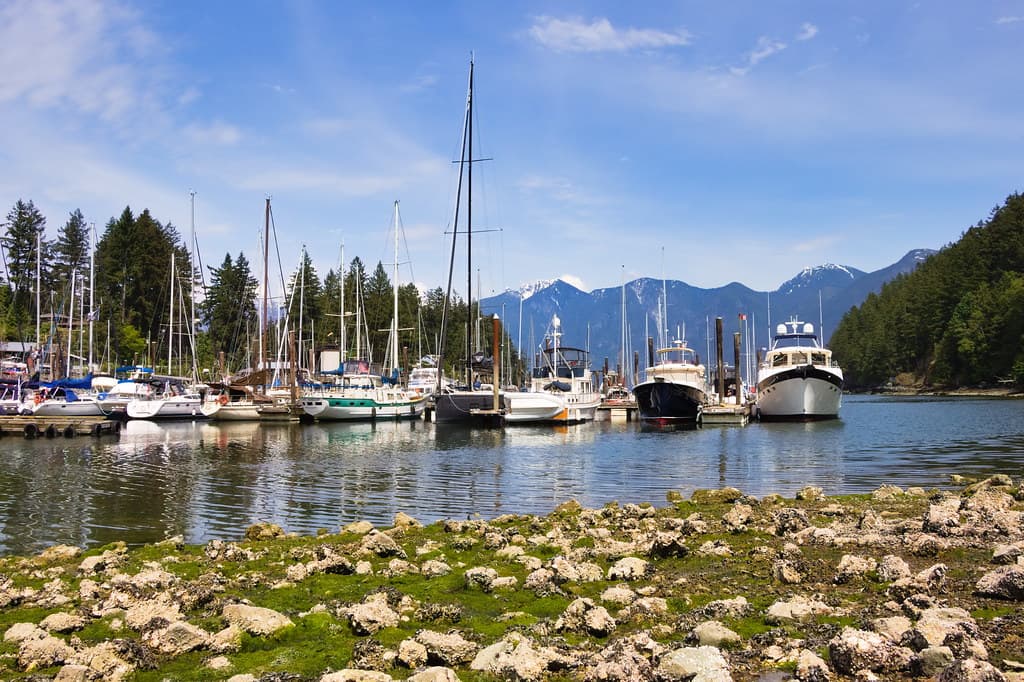 Snug Cove Rocky Beach
