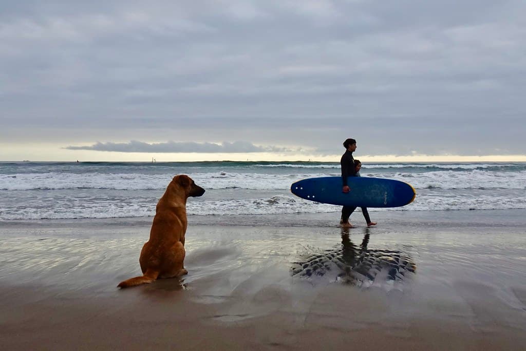 Beach day