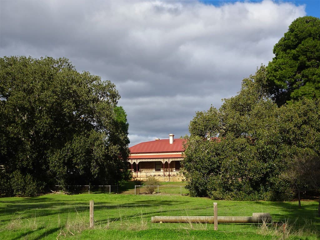 Salter Springs. Pioneer Robert Smyth eventually built a grand home with bay windows (1879) and planted two Moreton Bay Figs in the garden. Monte Flora House has  Kapunda cast iron lacework