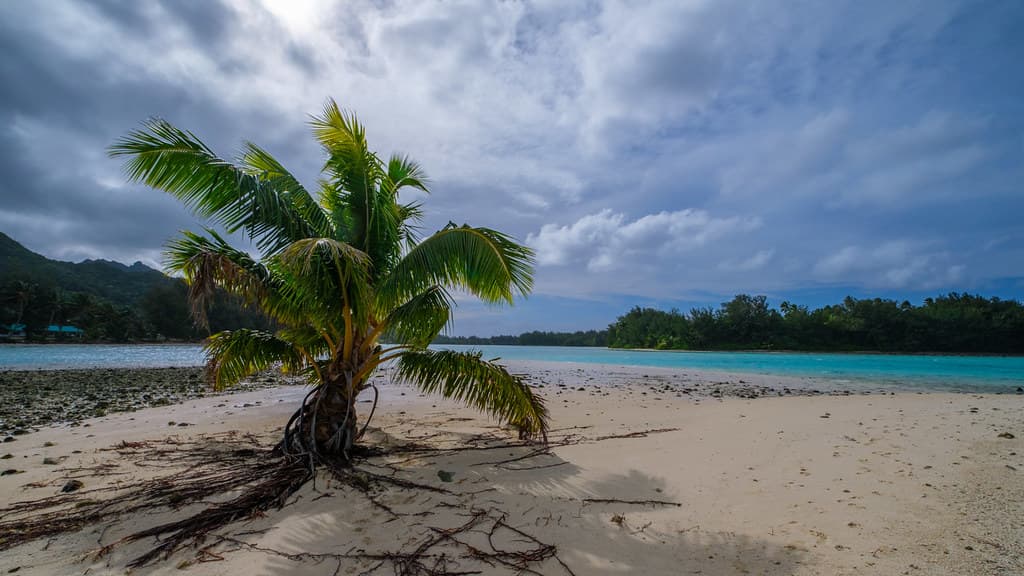 Raro Lunch Time