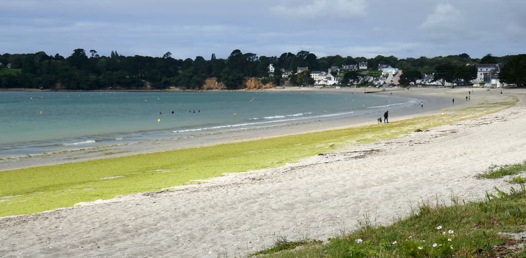 Plage du cap Coz, Fouesnant, Cornouaille, Finistère, Bretagne, France.