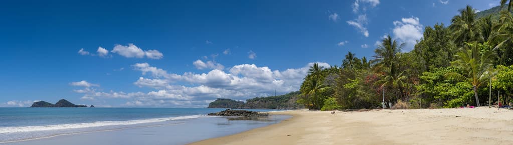 Ellis Beach