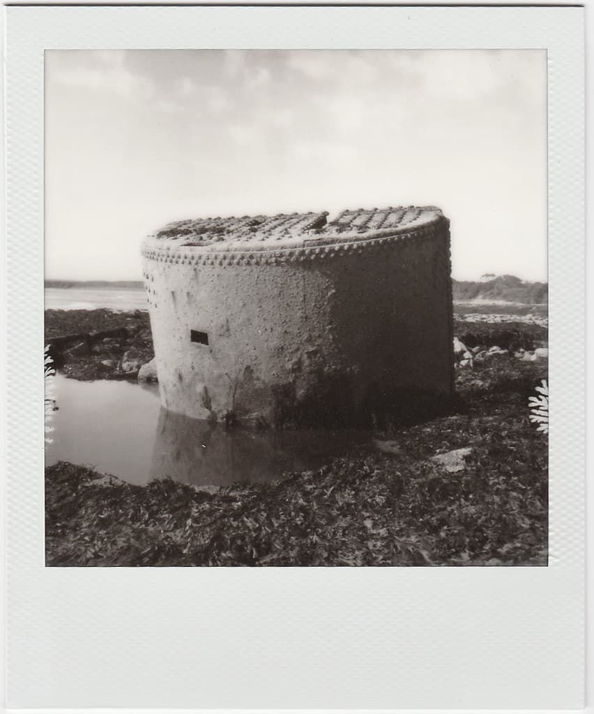 The Wreck of the Tadorne