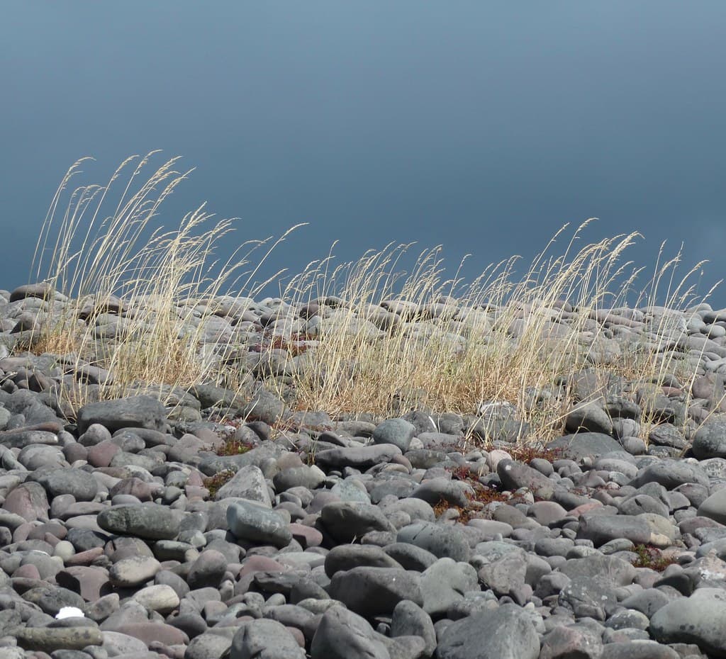 Bossington beach