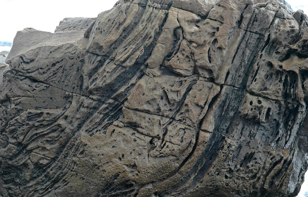 Soft-sediment deformation (shoreline clast at Big Gully, Kangaroo Island, offshore South Australia) 5