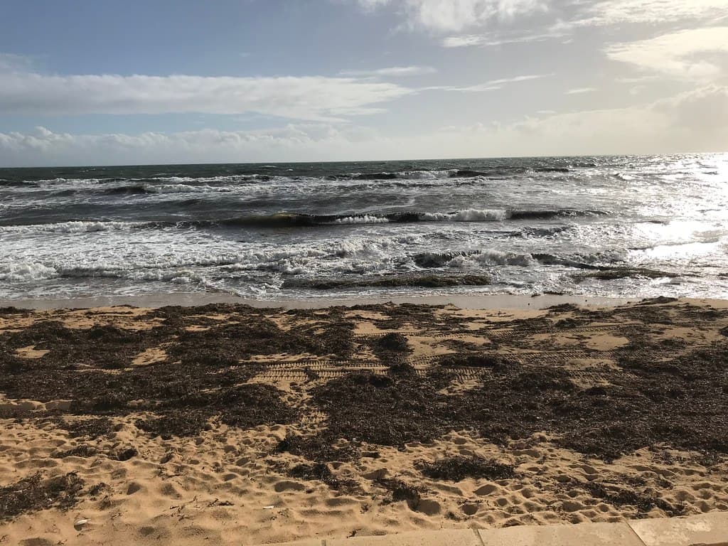 Binningup Beach